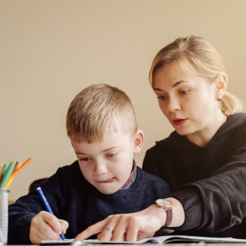 Özel Eğitim Sertifikası